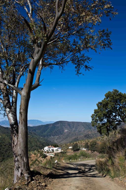 Cortijo Juan Salvador Pension Olías Buitenkant foto