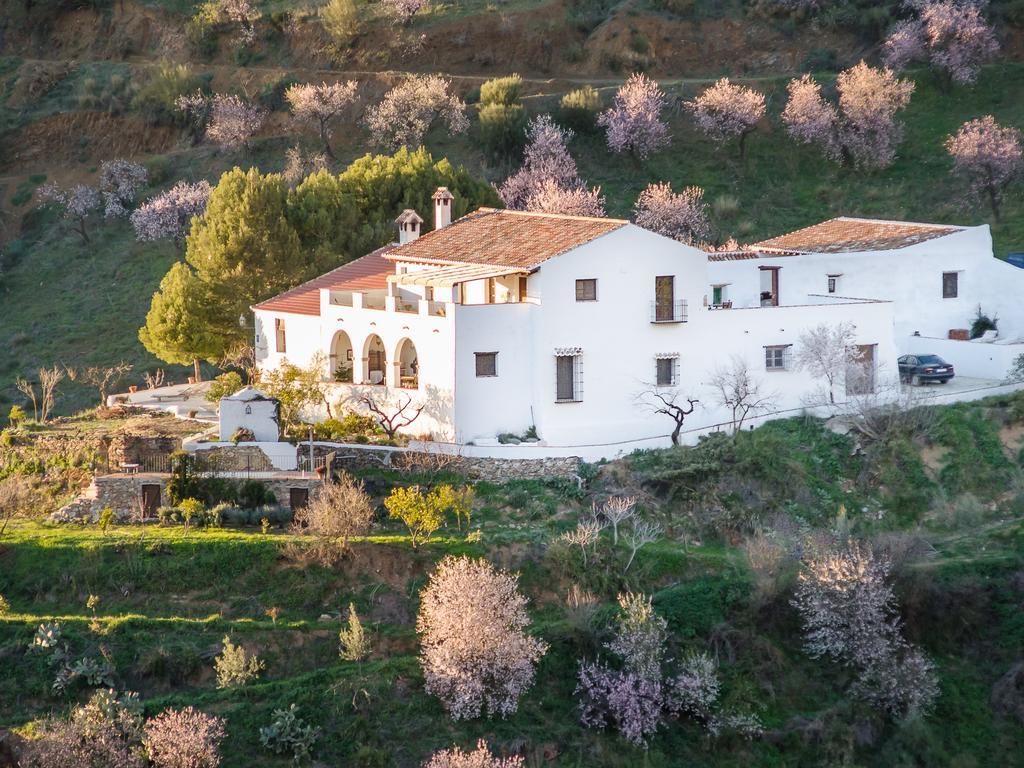 Cortijo Juan Salvador Pension Olías Buitenkant foto