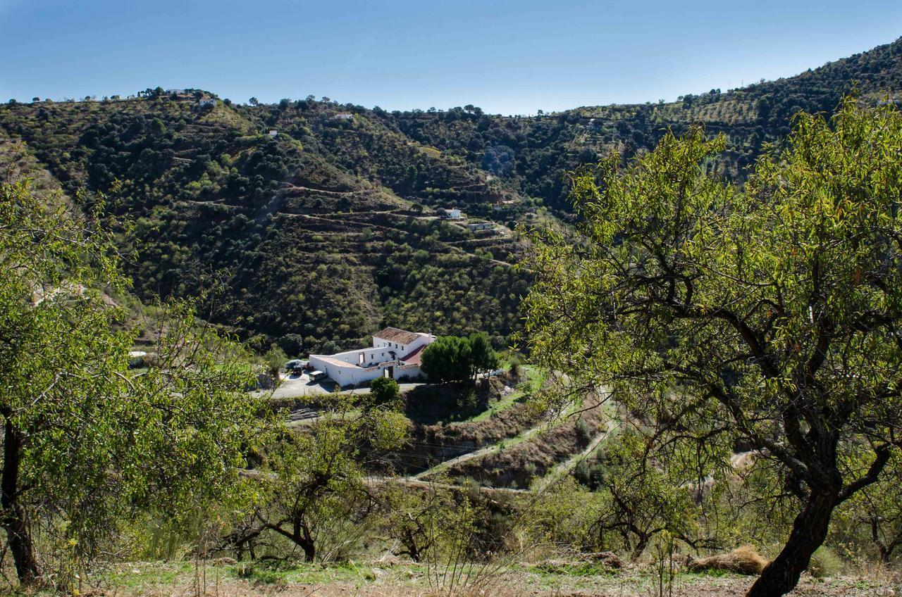 Cortijo Juan Salvador Pension Olías Buitenkant foto