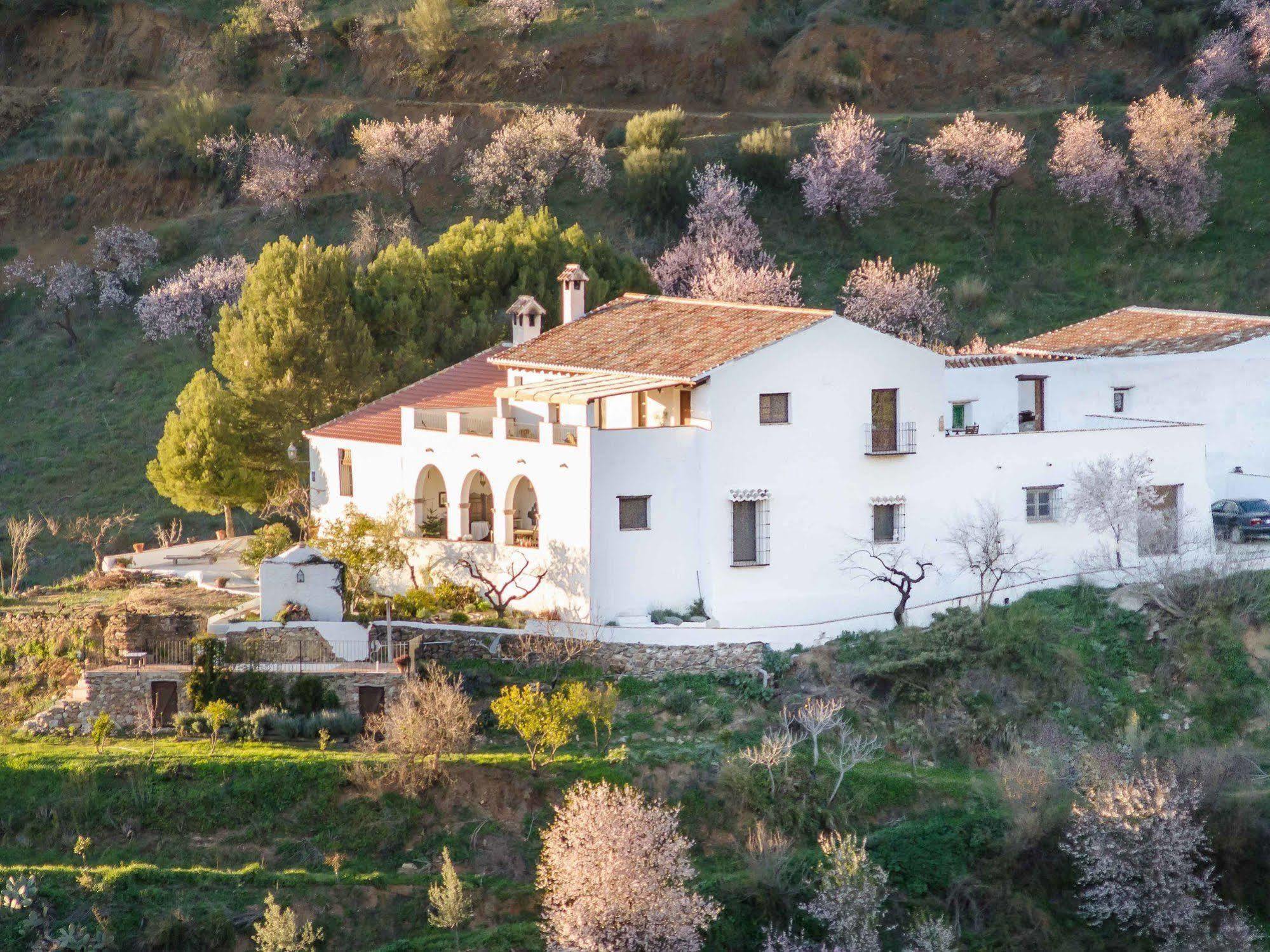 Cortijo Juan Salvador Pension Olías Buitenkant foto