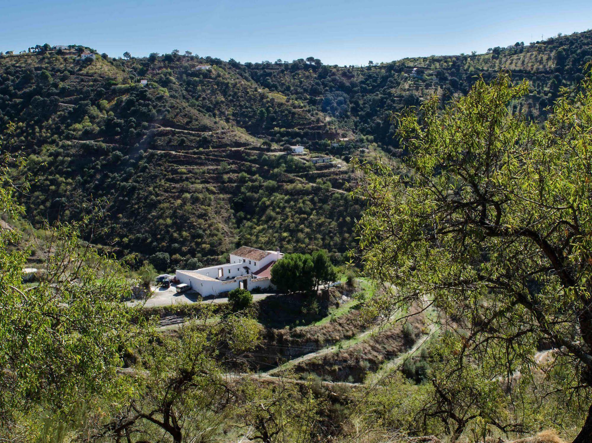 Cortijo Juan Salvador Pension Olías Buitenkant foto